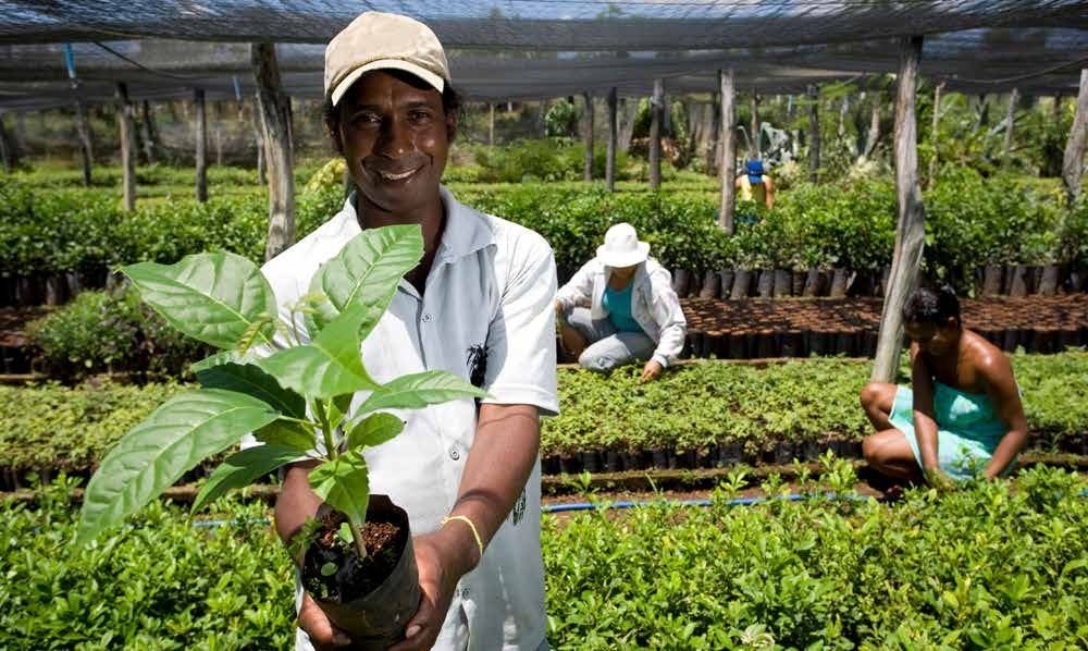 Trabalho de campo em projeto público